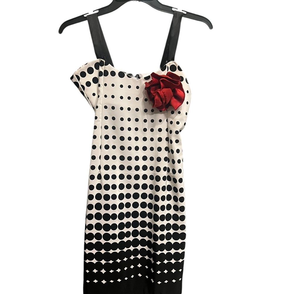 Polka Dot Dress with Red Flower Accent